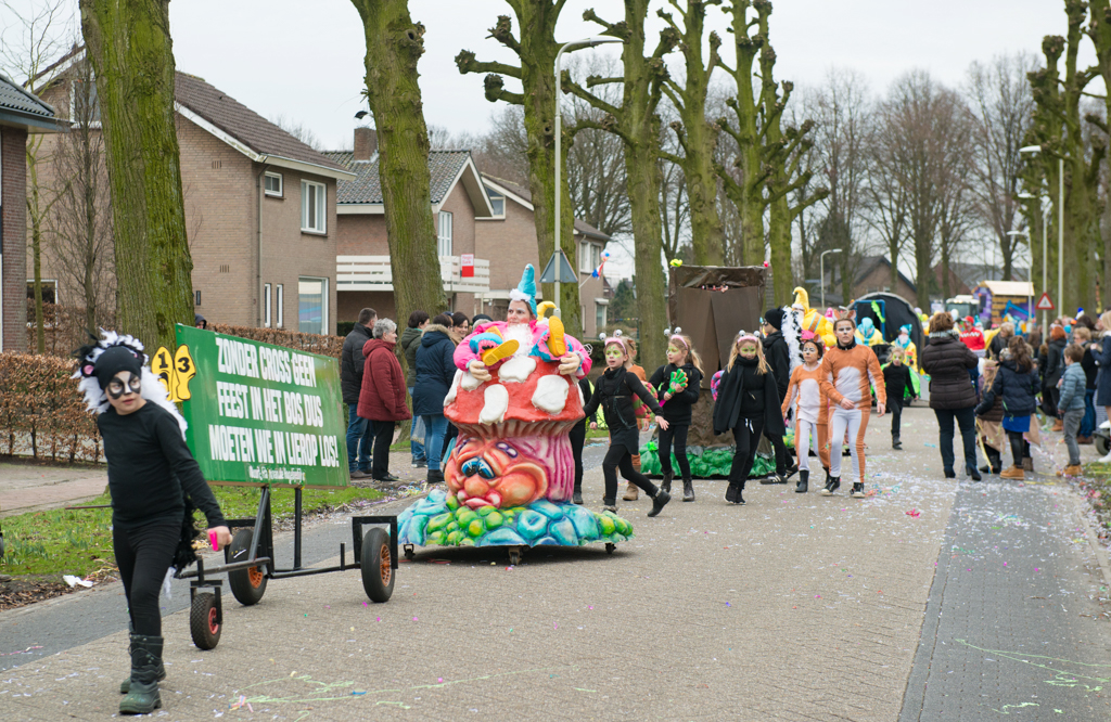 Carnaval2017Optocht-25.jpg