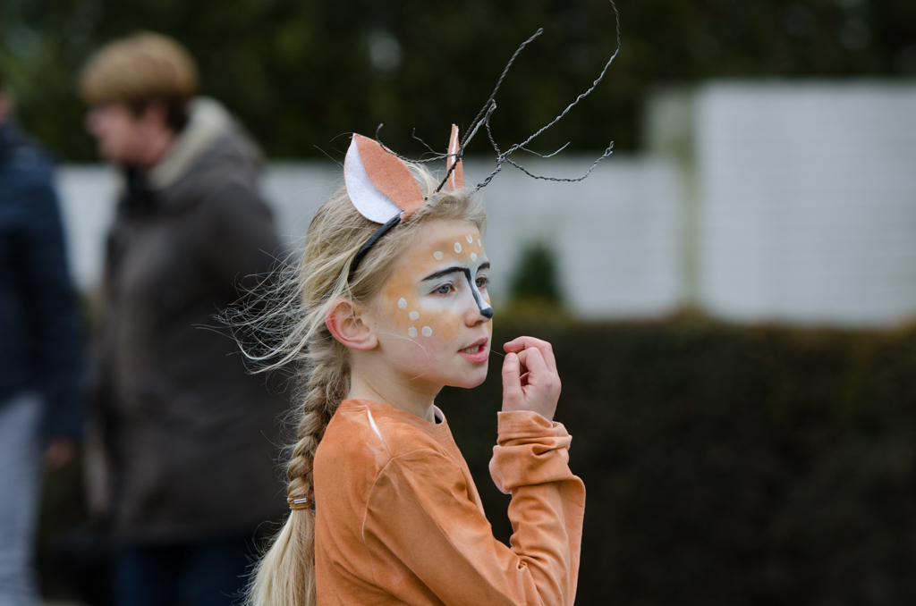 Carnaval2017Optocht-31.jpg