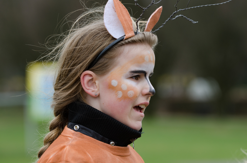 Carnaval2017Optocht-33.jpg