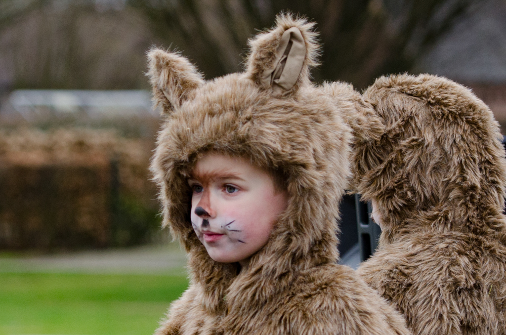 Carnaval2017Optocht-38.jpg