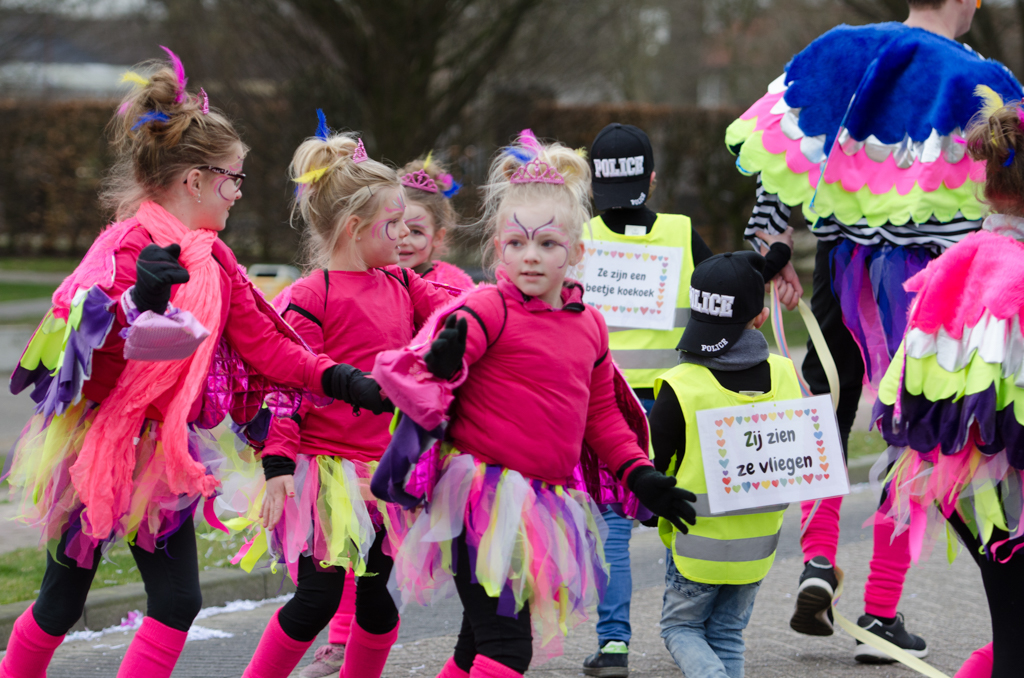 Carnaval2017Optocht-76.jpg