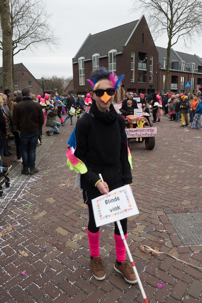 Carnaval2017Optocht-91.jpg